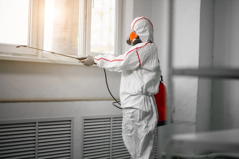 Professional mold remediation services in Orange Springs, FL